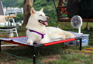 vigyazzunk atveszeljek nagy meleget 01