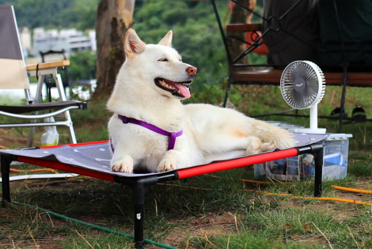 vigyazzunk atveszeljek nagy meleget 01