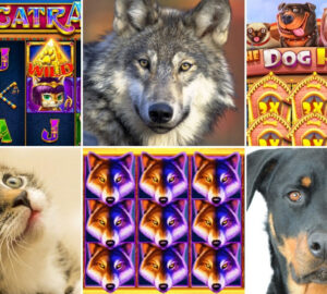 allatok vilaga allatos szimbolumok 01