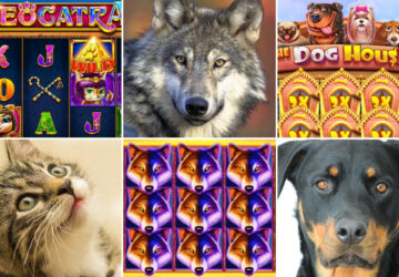 allatok vilaga allatos szimbolumok 01