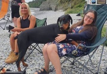 a dobermannja talalta meg szamara a vesedonort