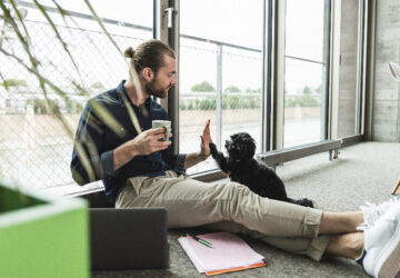 kutyadat munkahelyedre 01