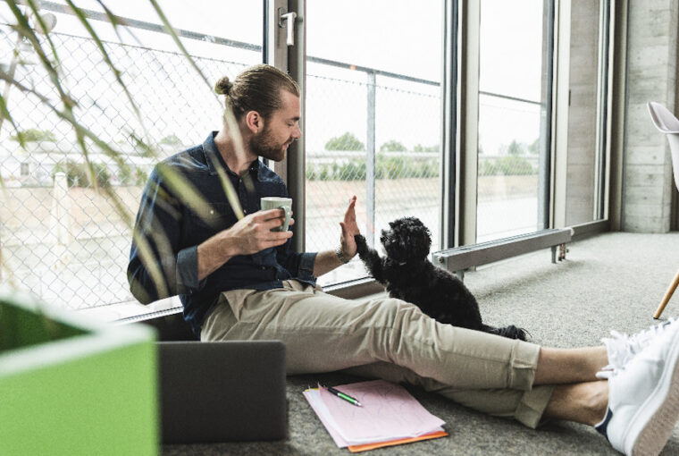 kutyadat munkahelyedre 01