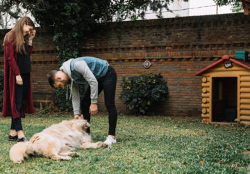 mit tud a tokeletes kutyahaz 01