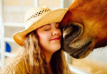 a lovak kepesek azerzelmeket eszlelni 3