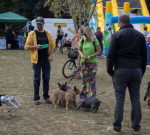 kisallatokat hidegebb honapokra 01