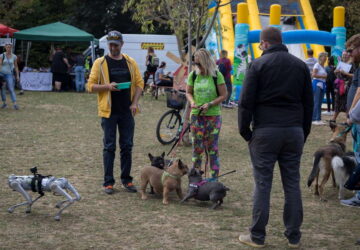 kisallatokat hidegebb honapokra 01