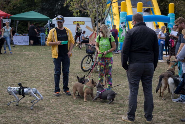 kisallatokat hidegebb honapokra 01