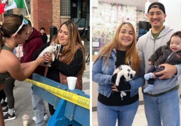 maraton kozben mentett cica