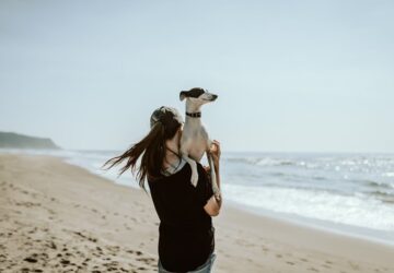 a hosszu elet titka a kutyatartas