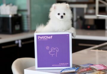 lathatatlan veszely a kutya veseelegtelenseg nyomaban 1