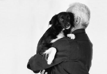 segit a szellemi hanyatlas lassitasaban egy kisallat 1