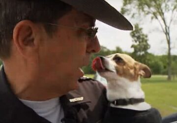 a vilag legkisebb rendorkutyaja