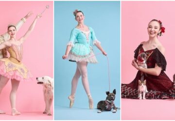 balett tancosok kampanyolnak