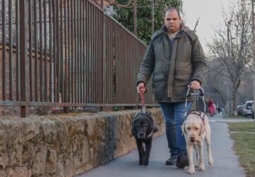 egy gazdi ket vakvezeto kutyaval