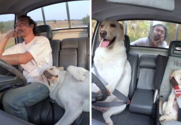 egy fotos aki kutyusaival hoditotta meg a vilaghalot