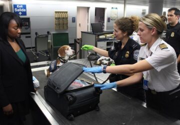 hazikedvencekkel repules 1