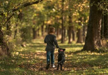 10 kutyafajta, amely teljesen megváltoztatja az életedet