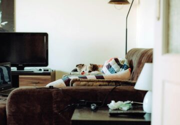 a kutyak titkos elete mit csinal a kedvenced amikor nem figyelsz