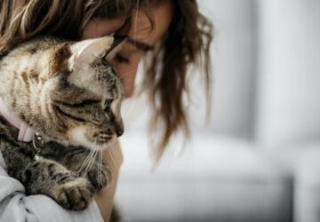 Imád-e a cicád? Íme a 7+1 jel