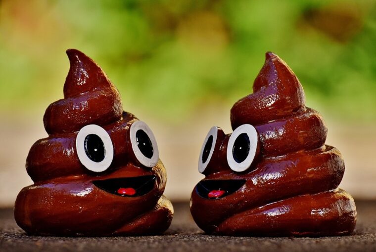 az urulek nyomaban tulelesi strategiak az allatvilagban