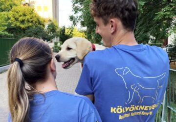 Sokra hivatott kiskutyák várják a nevelőiket!