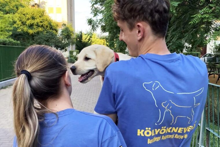 Sokra hivatott kiskutyák várják a nevelőiket!