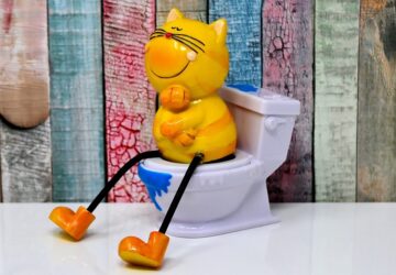 mit tegyunk ha macskaszarszaggal fogadjuk a vendegeket