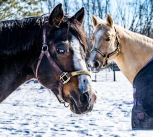 lotartas hideg idoben 2026