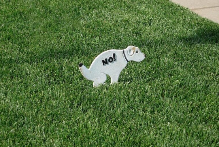 kutya gyepre piszkit hogyan akadalyozd meg