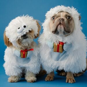 felreertjuk kutyainkat