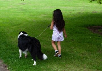 kutya gyermek erzelmi vilaga