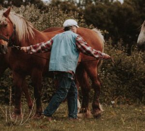 miert koszos lovas ruhaja