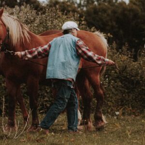 miert koszos lovas ruhaja