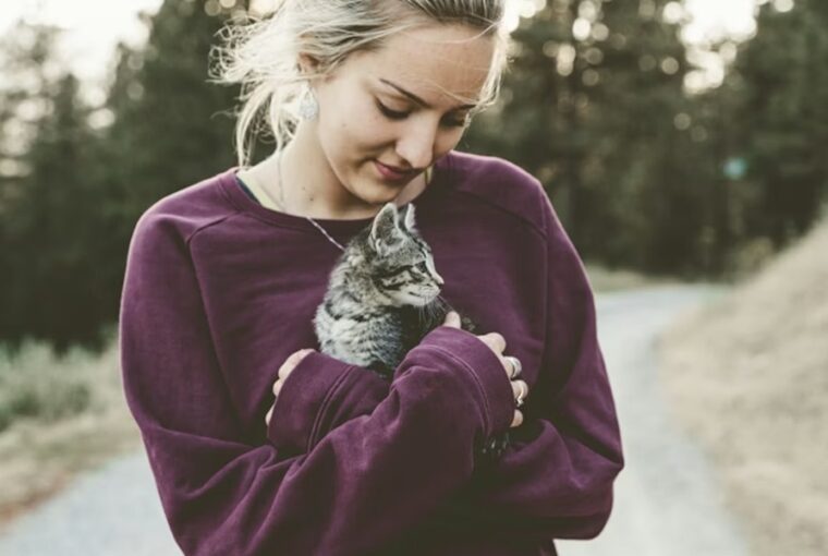 mi az a cukisagagresszio