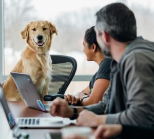 milyen fonok lenne a kutyad