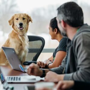 milyen fonok lenne a kutyad