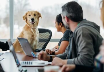 milyen fonok lenne a kutyad