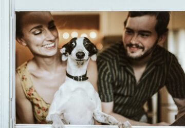 a kutya olyan mint a gazdaja 1