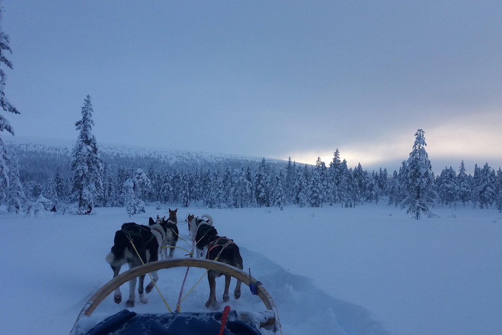 mit meselnek jegkorszaki kutyak 03 Mit mesélnek a jégkorszaki kutyák az emberi történelemről?