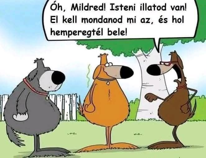 hemperges szagok es tulelesi oszton hemperges szagok es tulelesi oszton