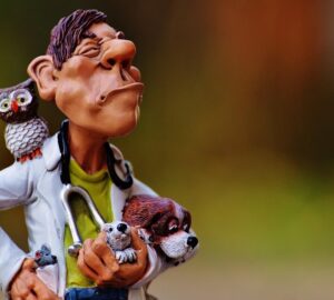 milyen az idealis allatorvos