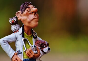 milyen az idealis allatorvos