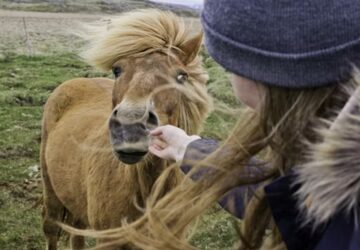 mit arul el rolad a kedvenc lofajtad
