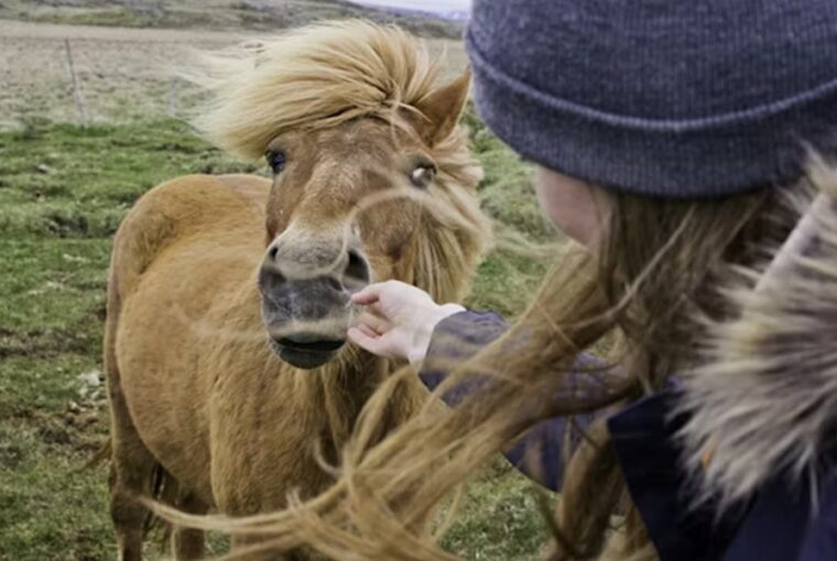 mit arul el rolad a kedvenc lofajtad