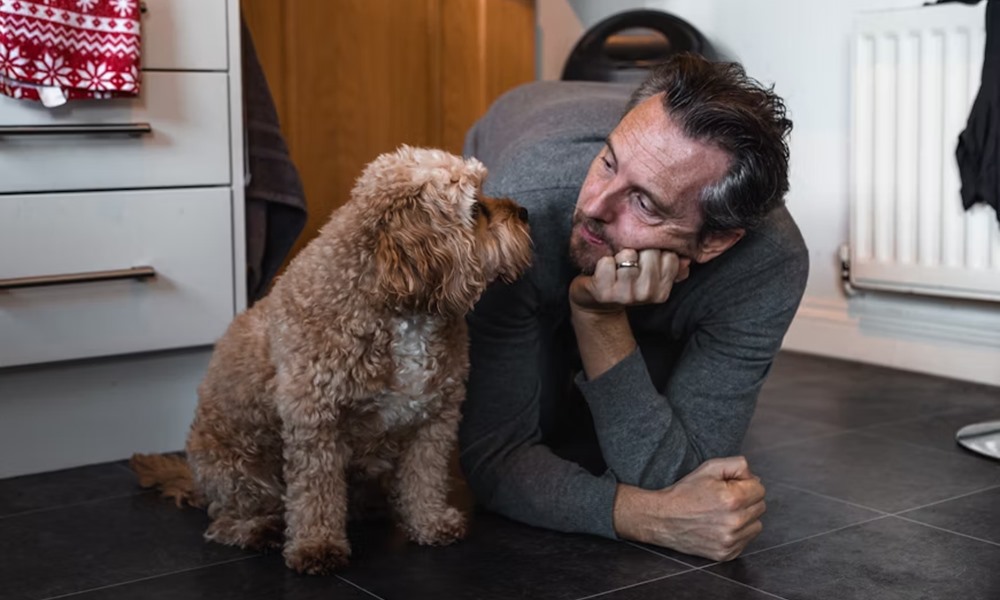 cavapoo a kiskutya 3 cavapoo a kiskutya 3