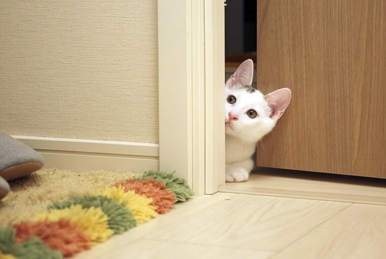 kinyittatom az ajtot