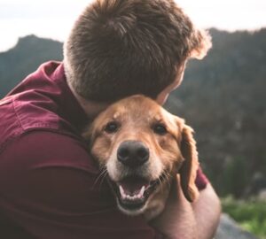 kutyad beazonosit amikor faradt vagy