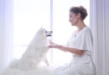 kutyad tenyleg megsajnal