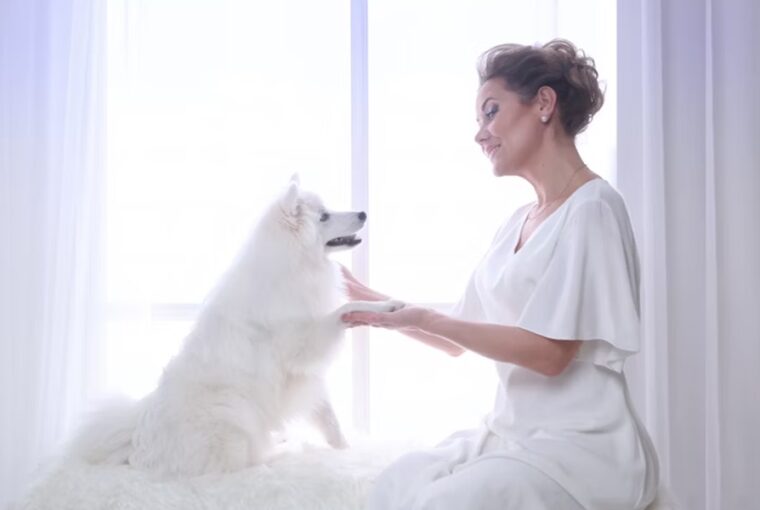 kutyad tenyleg megsajnal